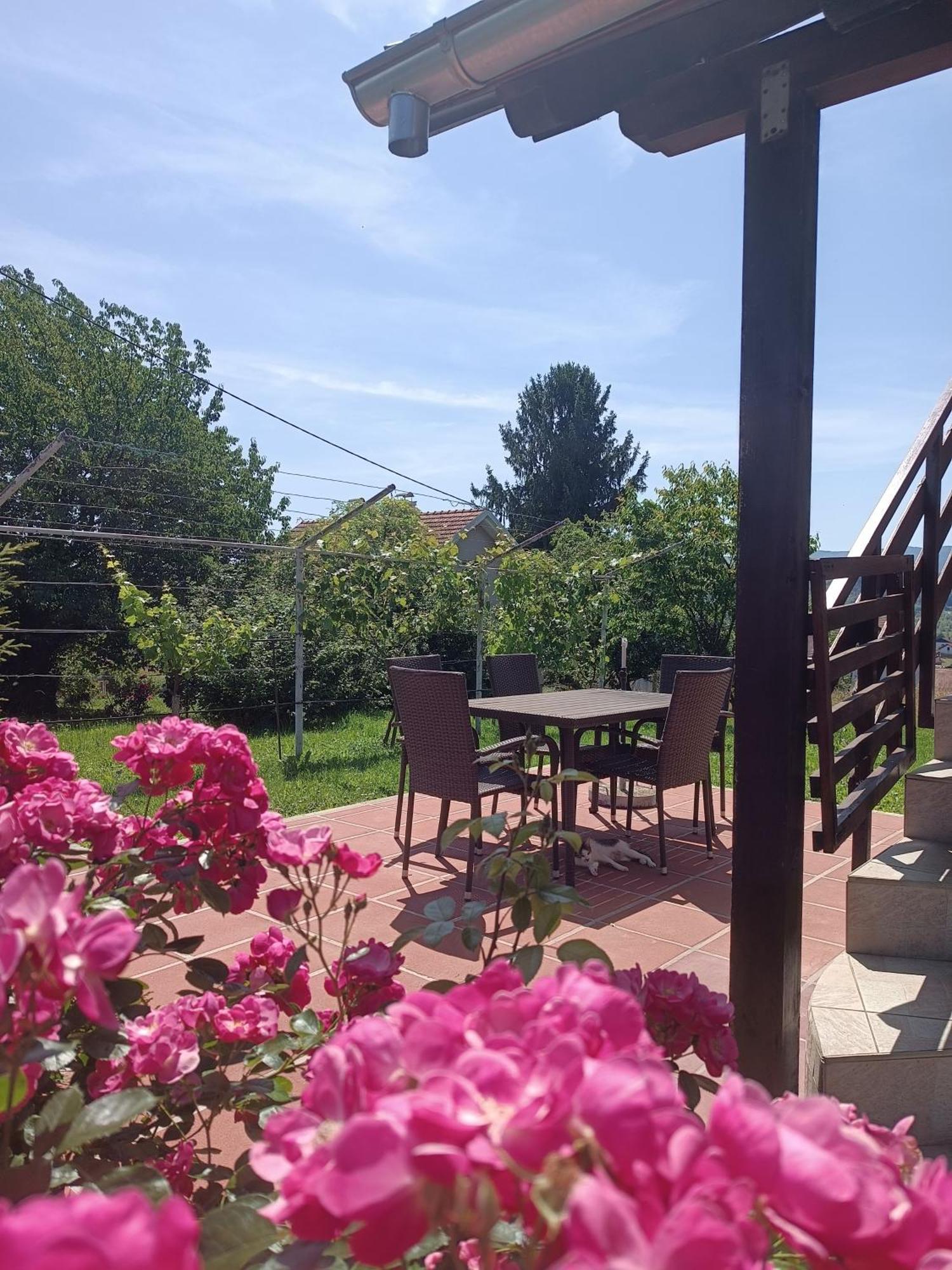 Apartman Petra Zabok Exterior photo